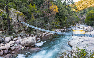 bonifatu-400x250.jpg