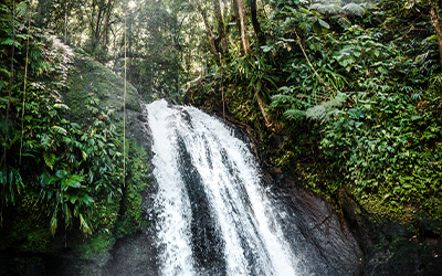 400x250_volcanohike.jpg
